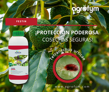 FESTIN - Protección eficaz contra insectos y ácaros