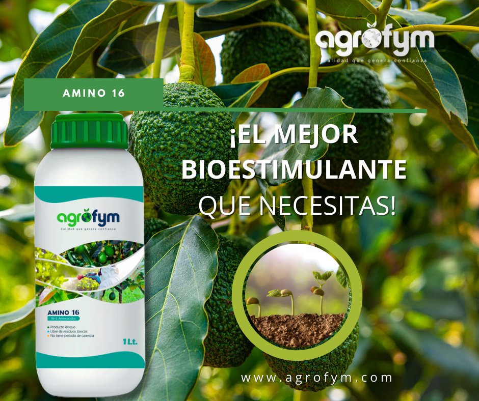 Amino 16: Bioestimulante Esencial para Cultivos Saludables y Rentables