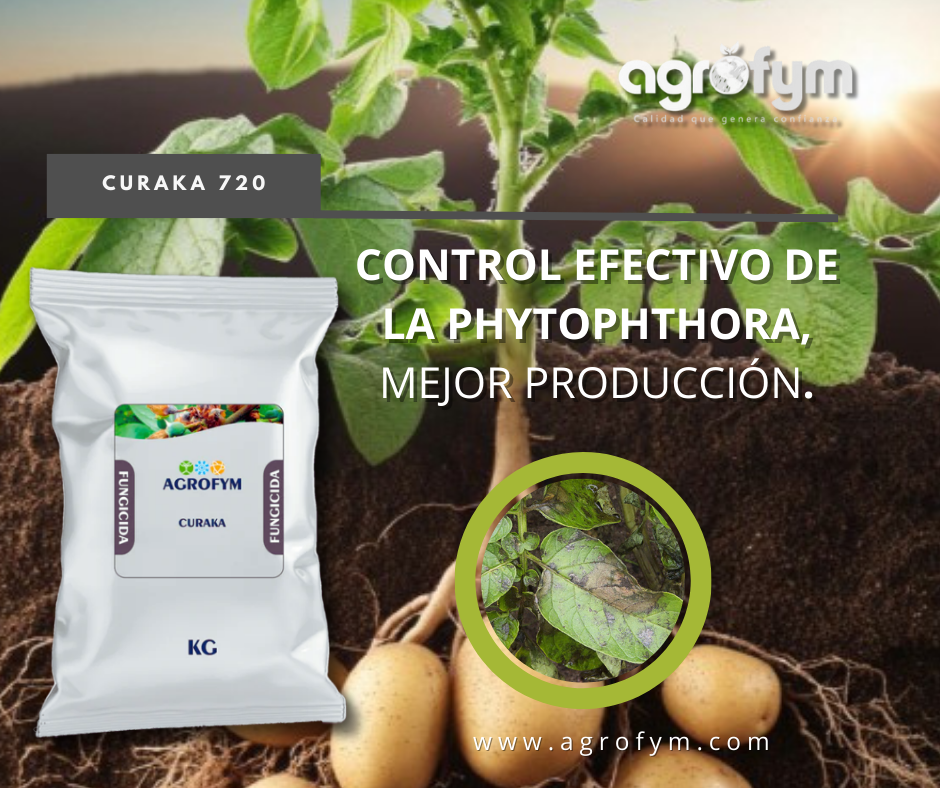 CURAKA 720: Protección Integral contra Hongos Fitófagos.