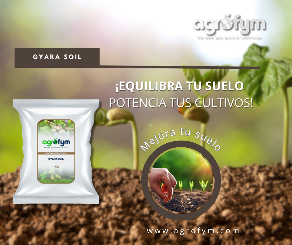 GYARA SOIL: Mejorando la Calidad del Suelo.