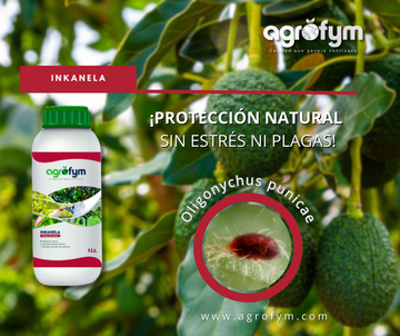 Innovación en Protección de Cultivos con INKANELA