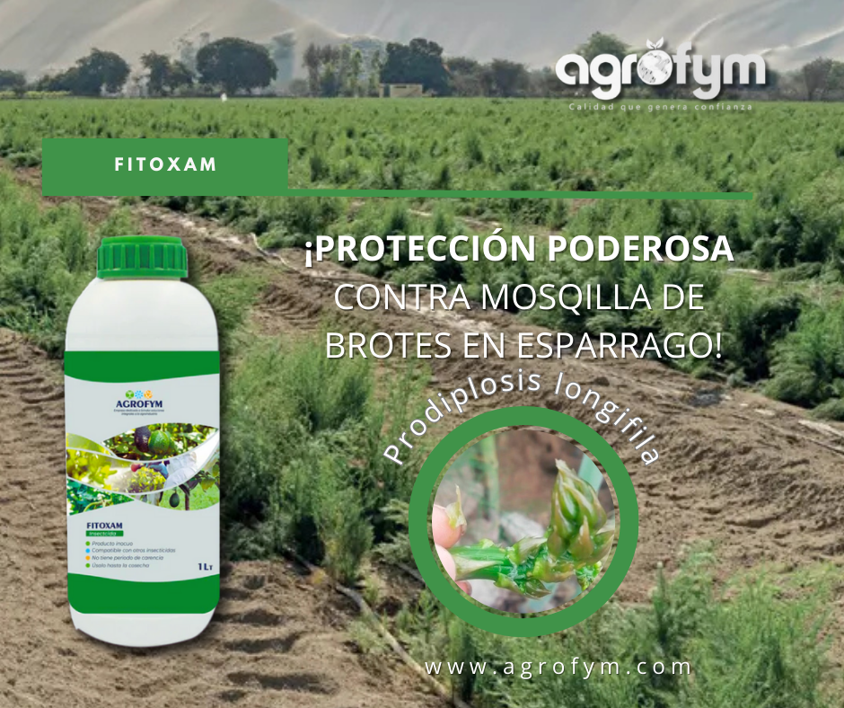 Descubre FITOXAM: La solución ideal contra plagas en cultivos